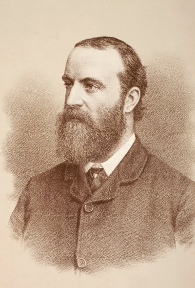 Charles Stewart Parnell, c.1890 von English School